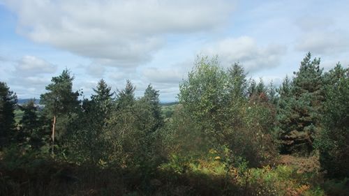 View North from Wart Hill