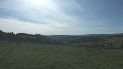 Looking East