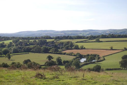 Looking East