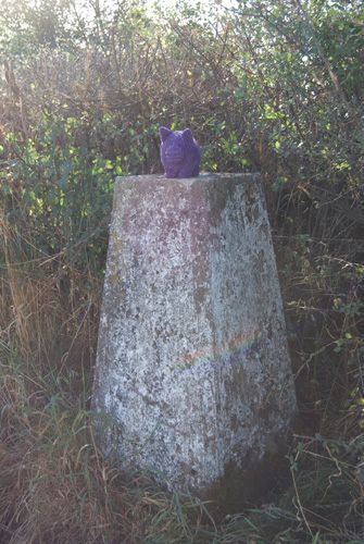 Mogg Forest trigpoint