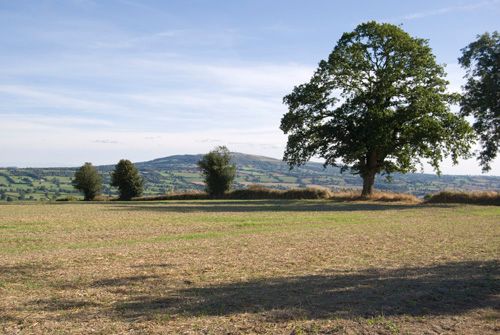 View South East