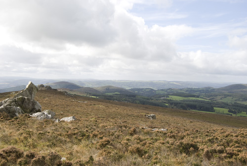View South from Stiperstones