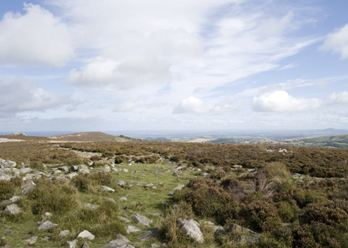 View North from Stiperstones