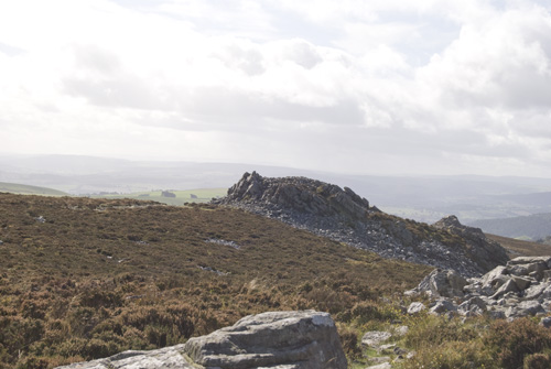 Tor on Stiperstones