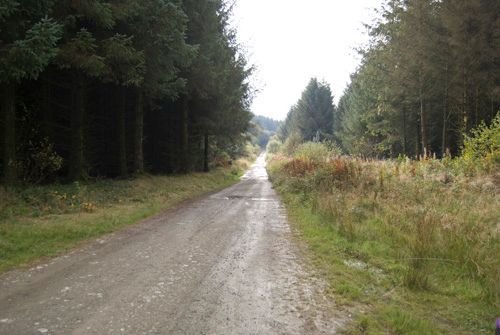 Kerry Ridgeway Track