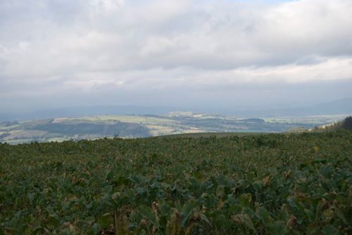 View into Wales