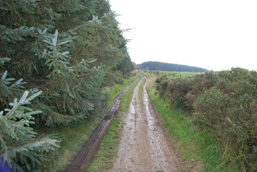 Muddy track of Kerry Ridgeway