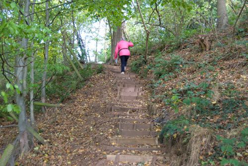 Climbing the steps to Lodge Hill