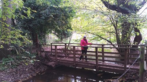 Footbridge to Lodge Hill