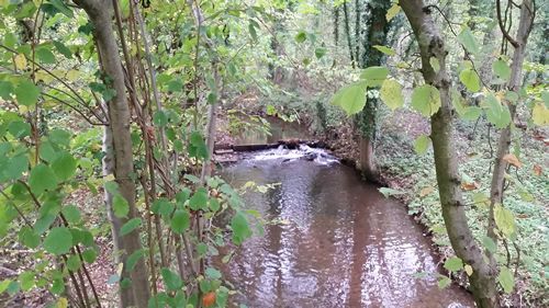 Stream near Lodge Hill