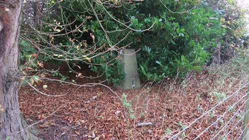 Lodge Hill Trigpoint