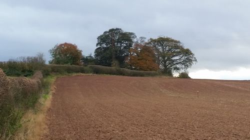 Field edge to trigpoint in the wood