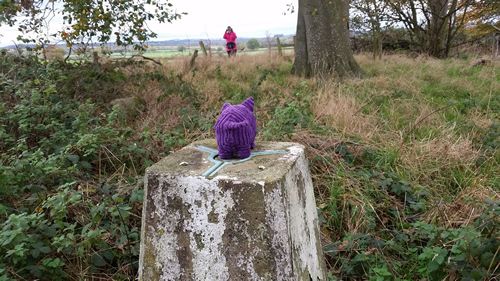 View away from the trigpoint
