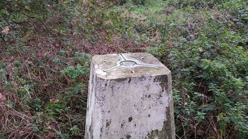 Spider on the trigpoint
