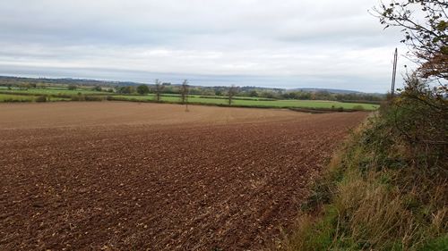 Looking East from trigpoint