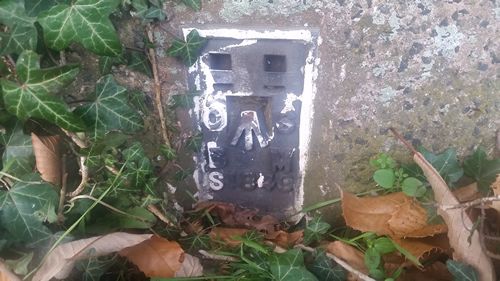 Flush Bracket: S1849