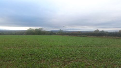Looking North