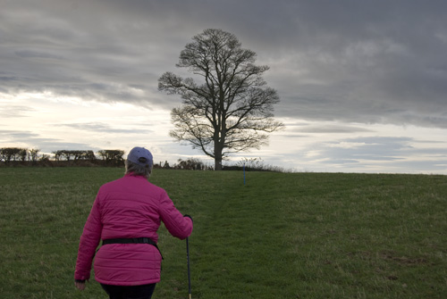 The path to the trigpoint