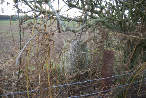 Behind barbed wire