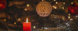 tree of light dedication