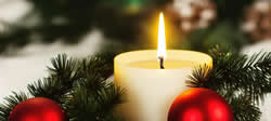 tree of light dedication