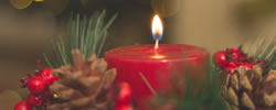 tree of light dedication